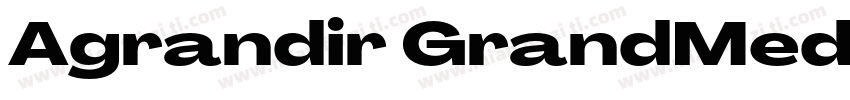 Agrandir GrandMediumItalic字体转换